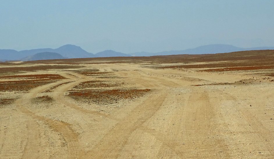 Off-road tracks in the Dorob National Park Namibia