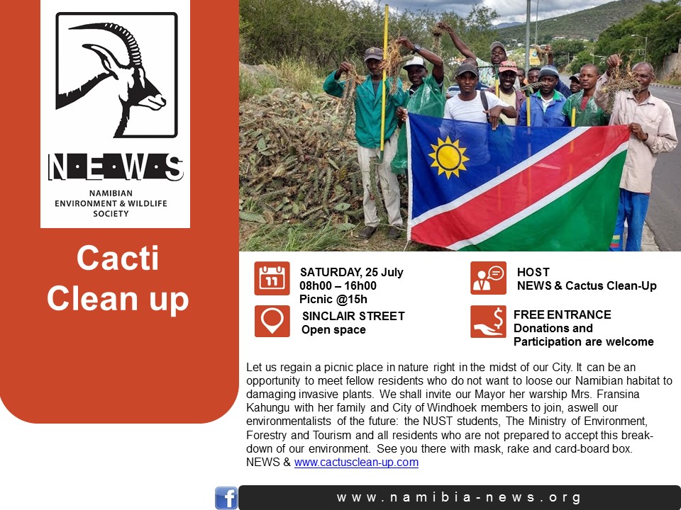 NEWS Cacti Clean Up July 2020