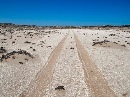 Off road tracks Namib Desert